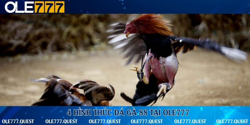 Một số hình thức chơi bạn không nên bỏ lỡ