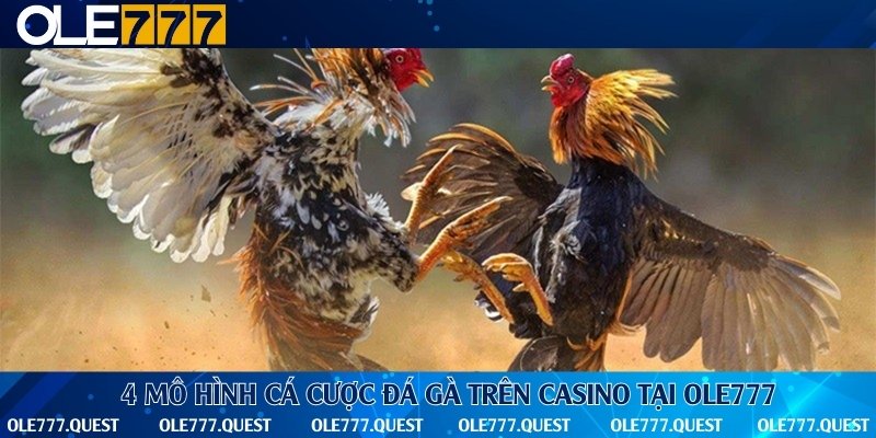 Đa dạng các thể loại đá gà hấp dẫn nhất nhà cái