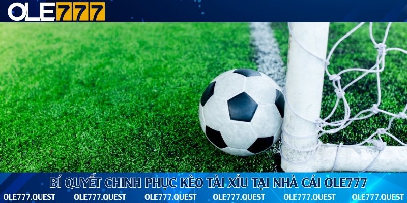 Cách soi kèo tài xỉu và đặt cược luôn luôn trúng lớn
