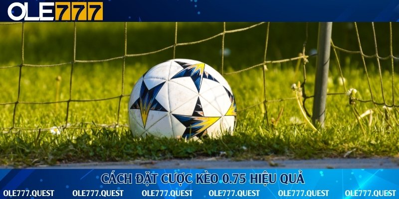 4 chiến thuật đọc kèo cực chuẩn xác