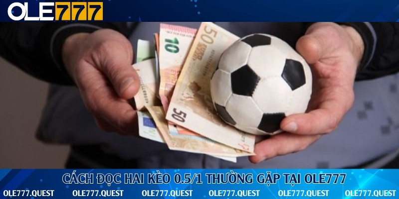 Tổng hợp 2 hình thức đặt cược cơ bản