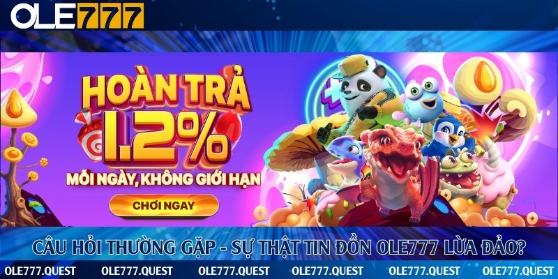 Nguyên nhân xuất hiện tin đồn nhà cái lừa đảo người tham gia đặt cược
