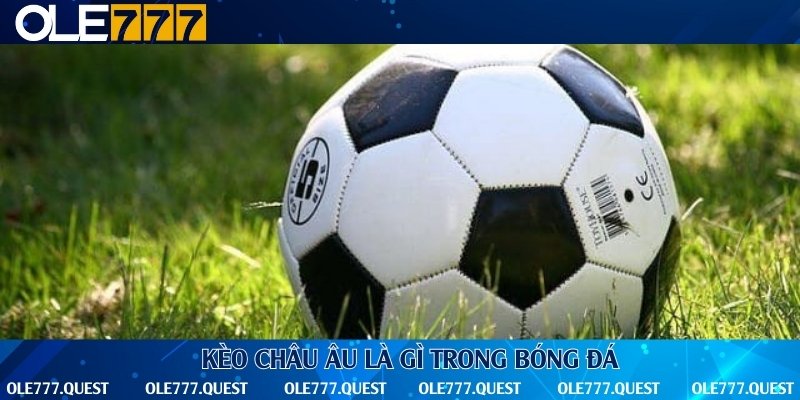 Tìm hiểu loại kèo có tỷ lệ thắng khá cao