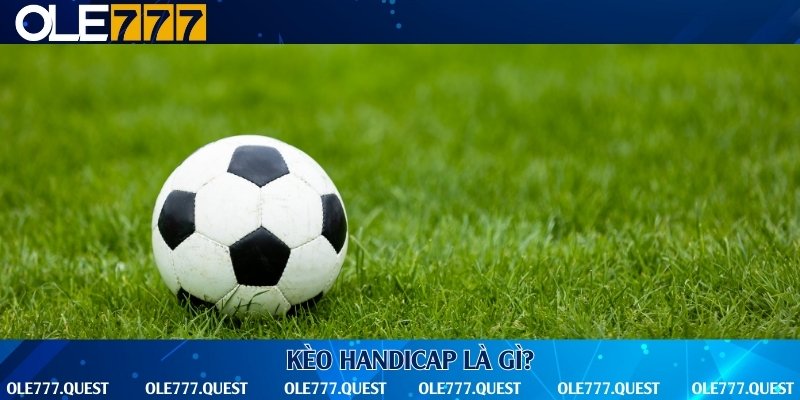 Tìm hiểu về kèo handicap trong cá cược đá banh