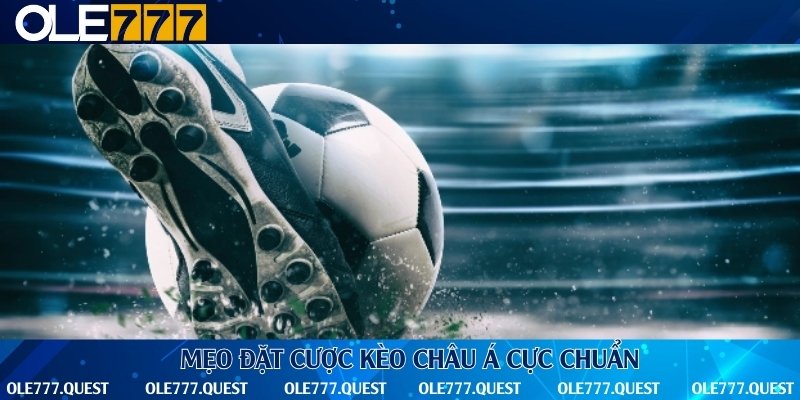 Chiến thuật bắt kèo Handicap dễ trúng lớn