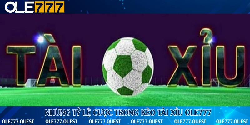 4 tỷ lệ cược tài xỉu thường chơi nhất