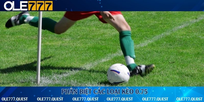 3 biến thể kèo 0.75 thường gặp tại Ole777