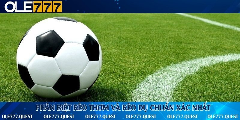 Dấu hiệu nhận biết kèo thơm xuất hiện