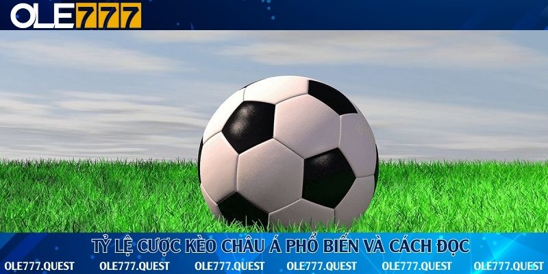Top 5 tỷ lệ thường gặp trong kèo cá cược bóng đá châu Á