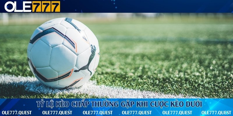 Tổng hợp top 4 tỷ lệ cược tại nhà cái Olee777